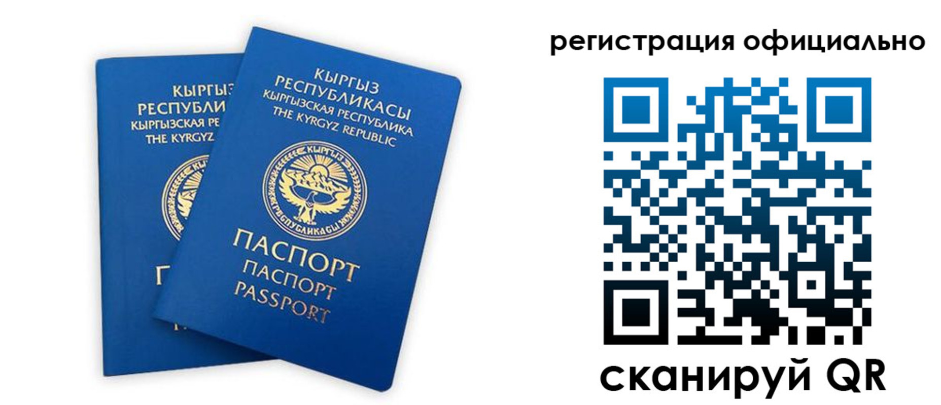 прописка поиск в Цимлянске